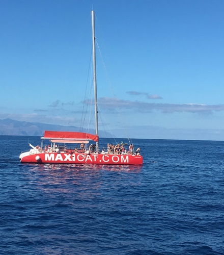 Photo - Balade en catamaran sur la Costa Adeje