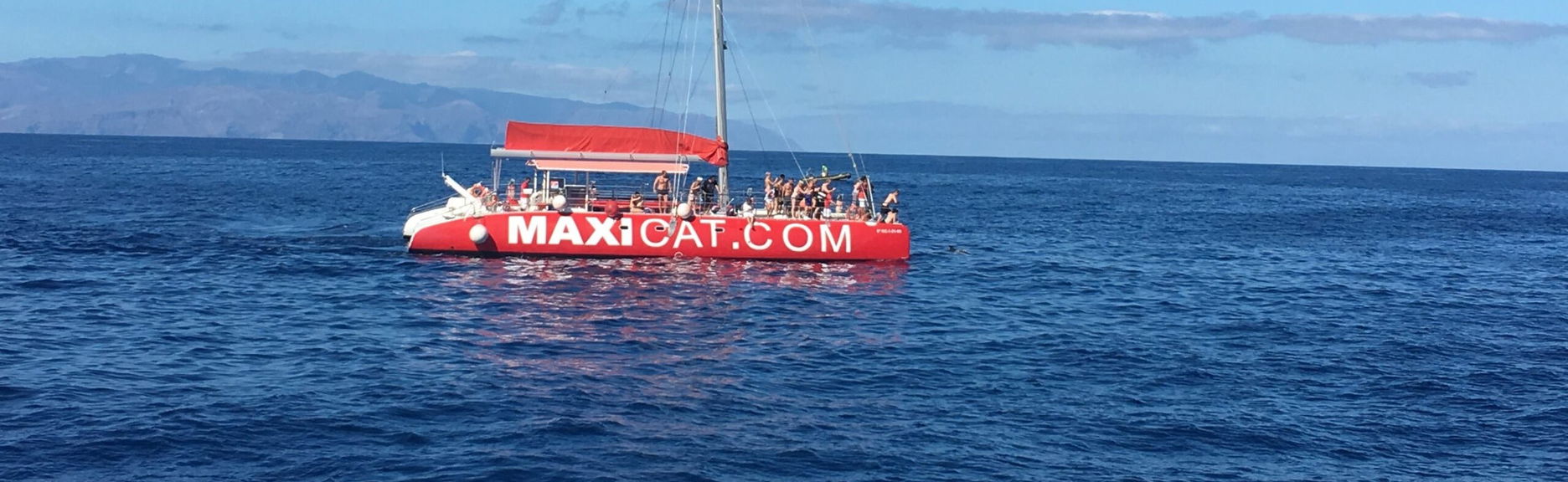 Paseo en catamarán por Costa Adeje - Foto 1