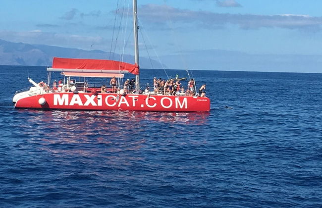 South Tenerife Cruise - Photo 1