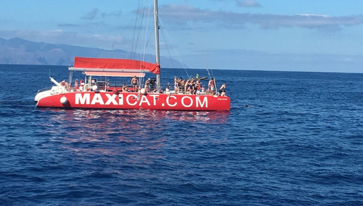 Balade en catamaran sur la Costa Adeje - Photo 1