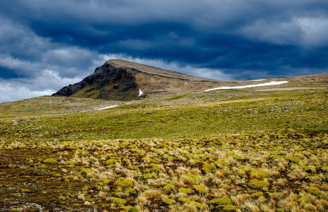 Tour pela ilha Navarino - Foto 7