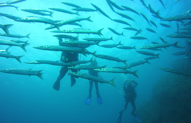 Bautismo de buceo en Puerto Addaya - Foto 4