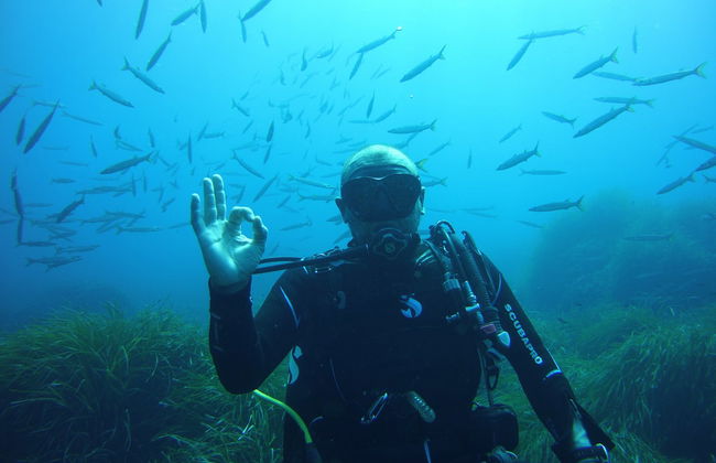Bautismo de buceo en Puerto Addaya - Foto 6