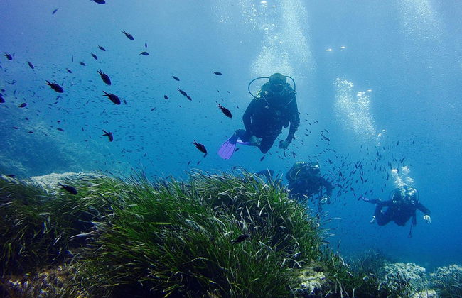 Bautismo de buceo en Puerto Addaya - Foto 2