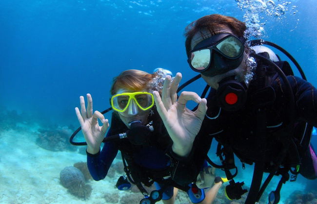 Bautismo de buceo en Puerto Addaya - Foto 3