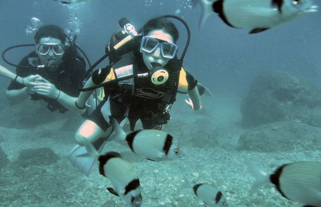 Bautismo de buceo en Alanya - Foto 3