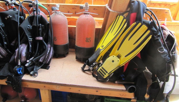 Introduction to Scuba Diving in Alanya - Photo 5