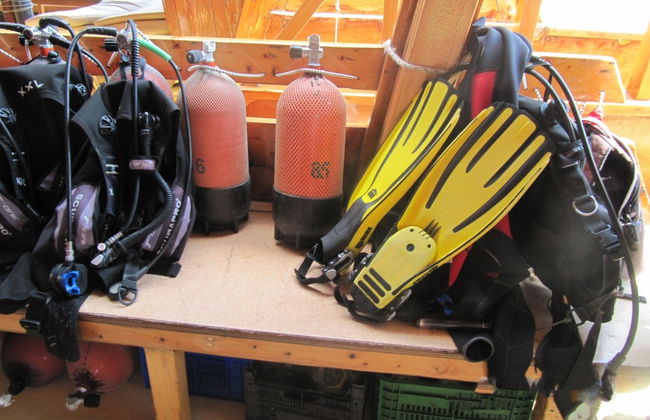 Introduction to Scuba Diving in Alanya - Foto 5