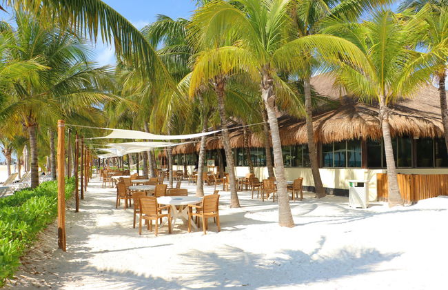 Conducción de lancha rápida por Punta Maroma - Foto 8