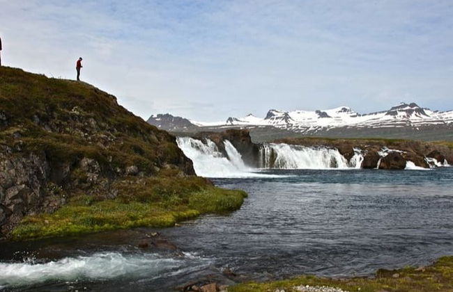 Excursion aux cascades et dans les vallées de la côte est de l'Islande - Photo 2