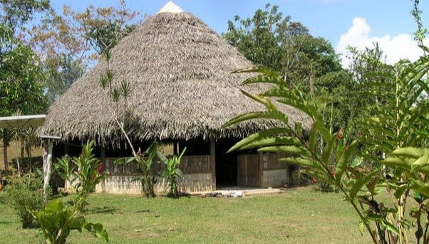 Yorkín Indigenous Community Tour - Foto 2