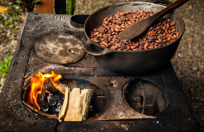Yorkín Indigenous Community Tour - Photo 1