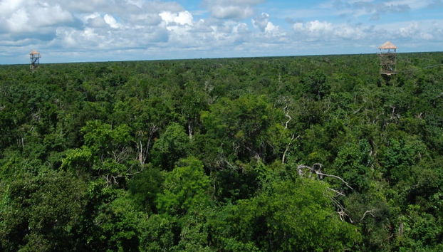 Tour de quadriciclo pela selva maia + Circuito de tirolesas - Foto 4