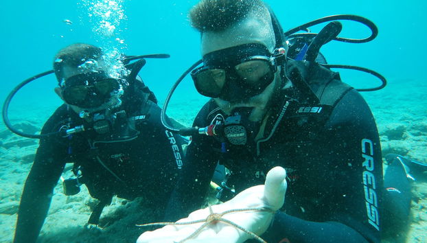 Contemplando la flora y la fauna submarina de Creta