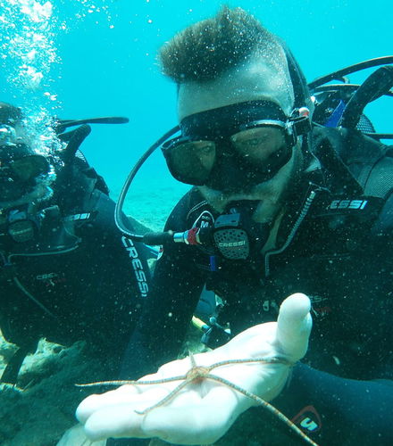 Foto de Bautismo de buceo en Agia Pelagia