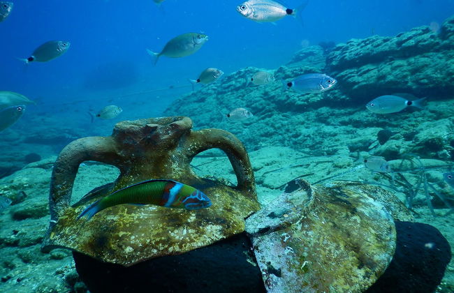 Bautismo de buceo en Agia Pelagia - Foto 4