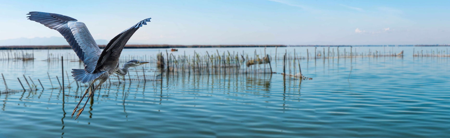 Excursion au parc naturel de l'Albufera - Photo 1