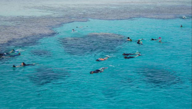 Snorkel en la Isla Tirán - Foto 4