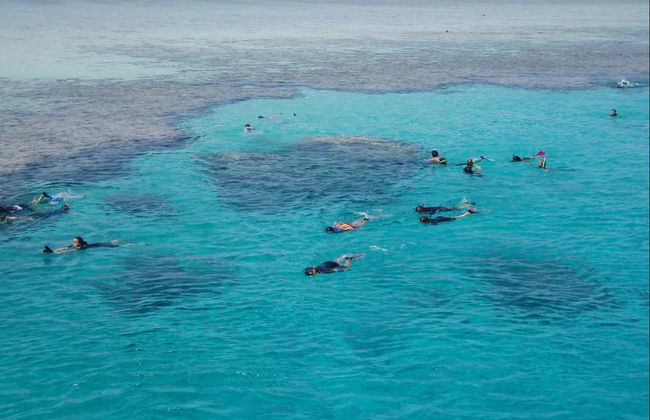 Snorkel en la Isla Tirán - Foto 4