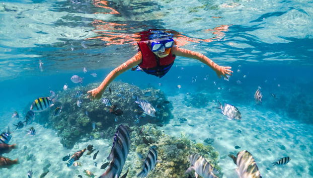 Snorkeling all'Isola di Tiran - Foto 4