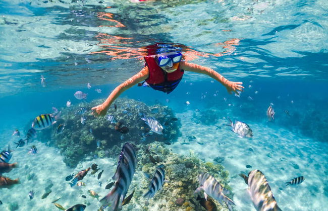 Snorkel en la Isla Tirán - Foto 6