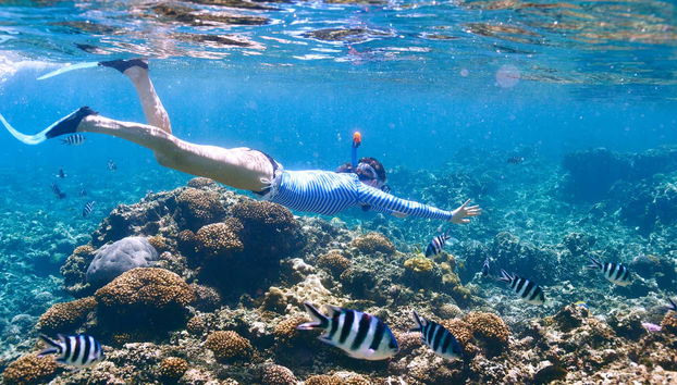 Snorkel en la Isla Tirán - Foto 5