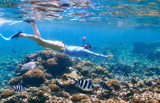 Snorkel en la Isla Tirán - Foto 5