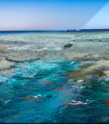 Foto - Snorkeling all&apos;Isola di Tiran