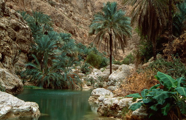 Wadi Shab Day Tour - Foto 3