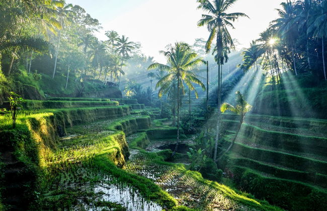 Offerta: Quad + Rafting a Bali - Foto 3