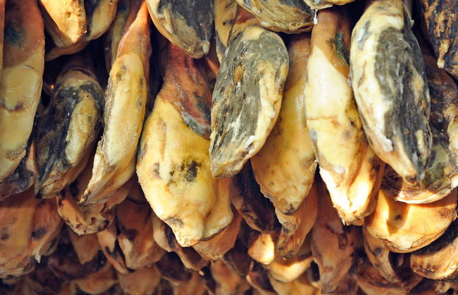 Excursão aos povoados da Alpujarra - Foto 6