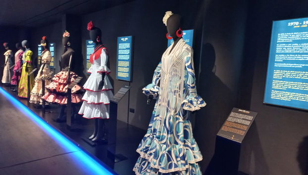 Show flamenco en El Palacio Andaluz - Foto 4