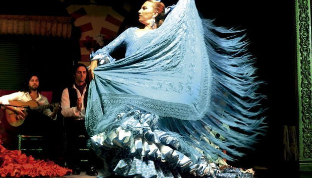 Show flamenco en El Palacio Andaluz - Foto 2