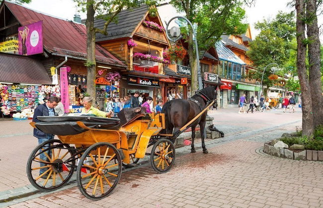 Excursión privada desde Cracovia - Foto 2