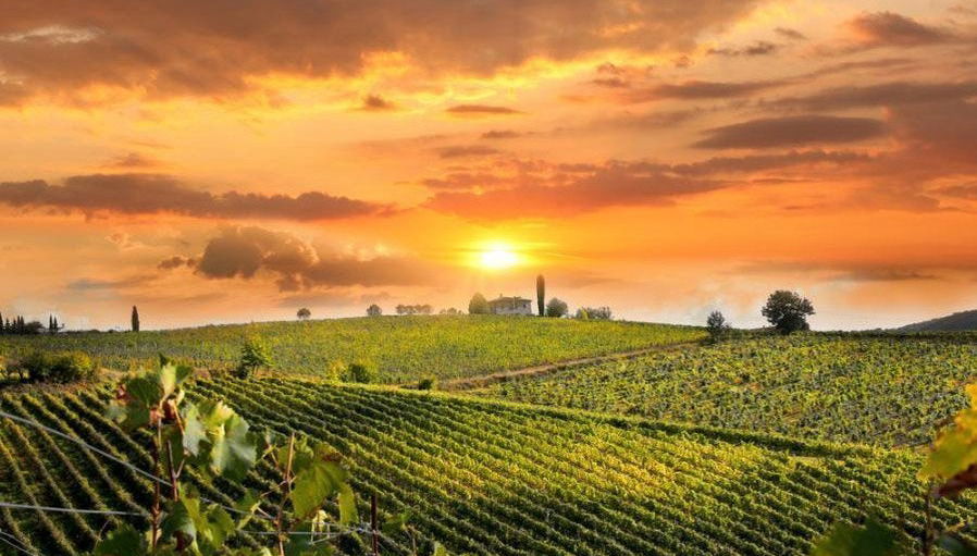 Route des vins dans la région du Chianti - Photo 1