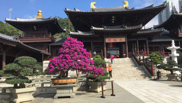 Private Walking Tour of Hong Kong - Photo 5