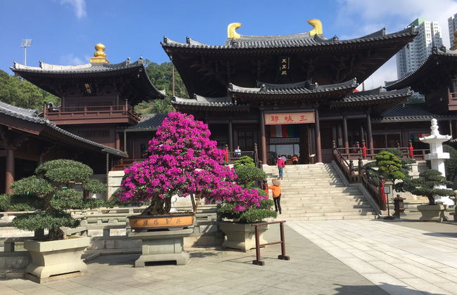 Tour privato di Hong Kong - Foto 5