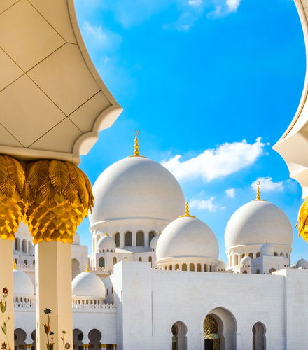 Foto de Excursión a la Gran Mezquita y el Louvre de Abu Dhabi
