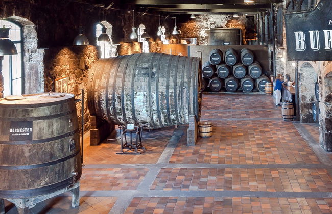 Visita a la bodega Burmester - Foto 2