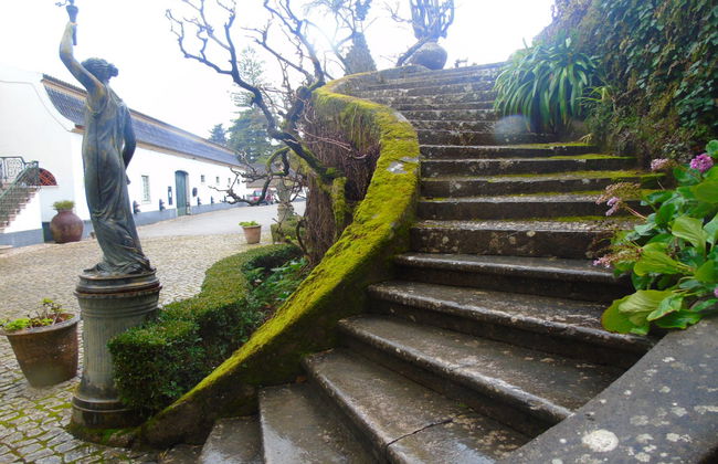 Arrabida and Sesimbra Day Trip - Foto 3