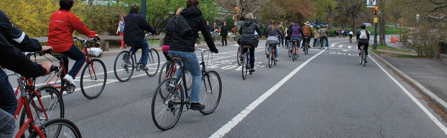 Central Park Bike Tour - Photo 1