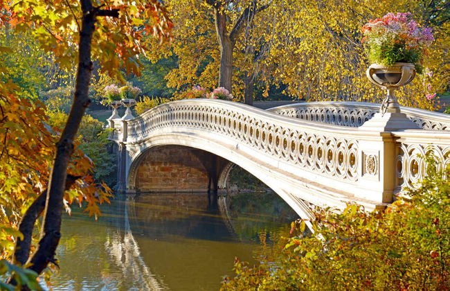 Tour di Central Park in bicicletta - Foto 5