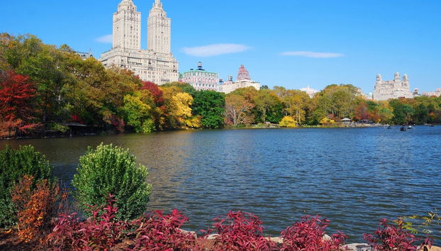 Central Park Bike Tour - Photo 4