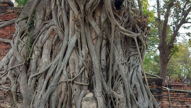 Ayutthaya Day Trip - Foto 2