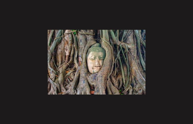 Ayutthaya Day Trip - Foto 2
