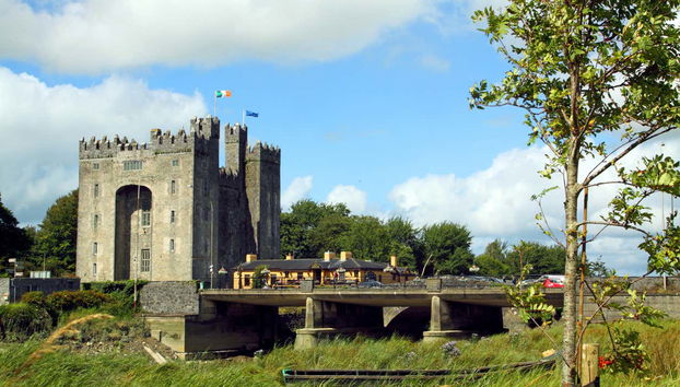 Excursión a los acantilados de Moher, castillo de Bunratty y Ennis - Photo 4
