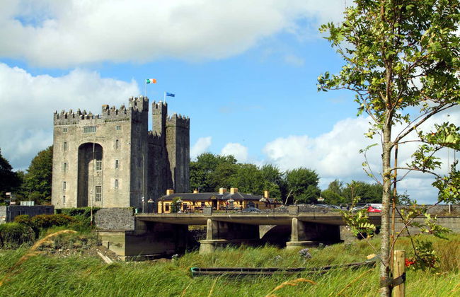 Excursión a los acantilados de Moher, castillo de Bunratty y Ennis - Photo 4