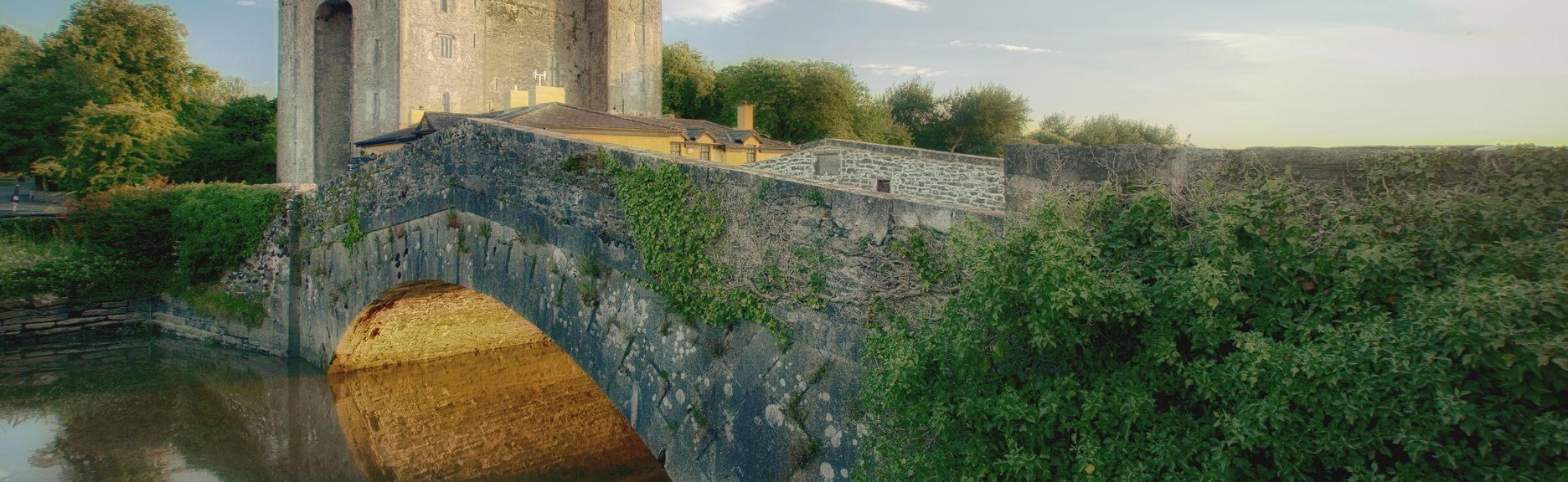 Excursión a los acantilados de Moher, castillo de Bunratty y Ennis - Foto 1