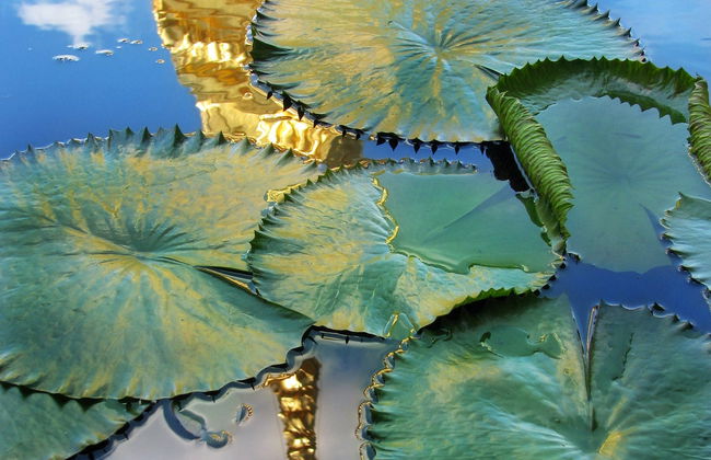 Visite du Grand Palais + Wat Phra Kaew - Photo 6