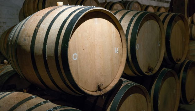 Tour della birra belga - Foto 5